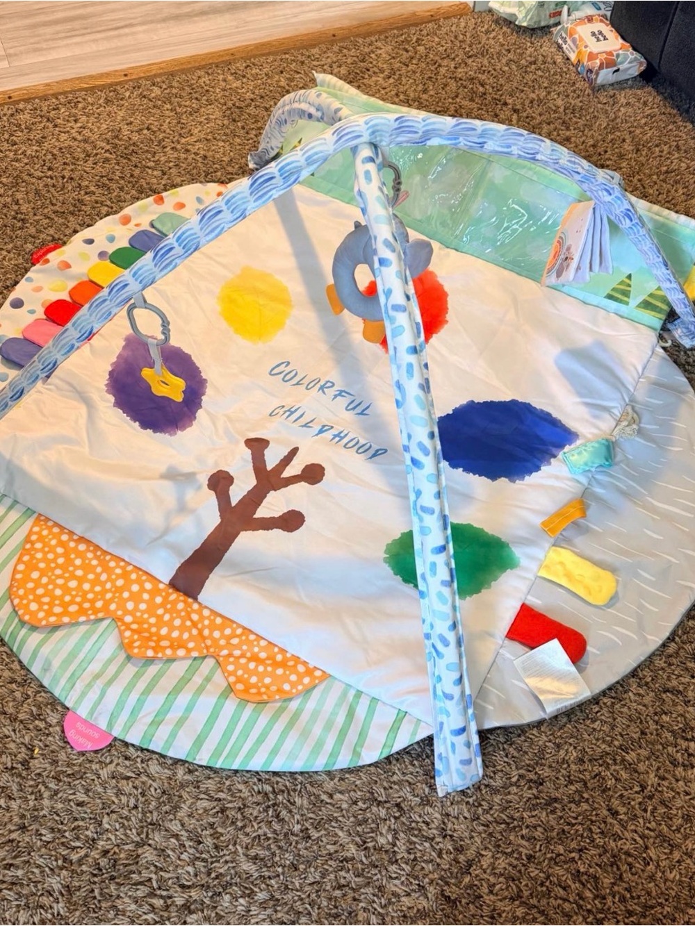 Colorful Blue Baby Play Gym - Interactive Activity Mat for Kids